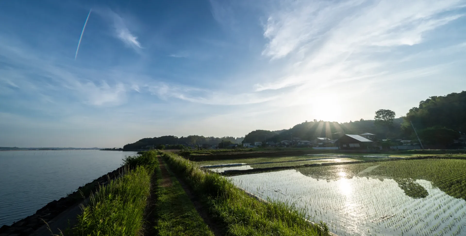 涸沼