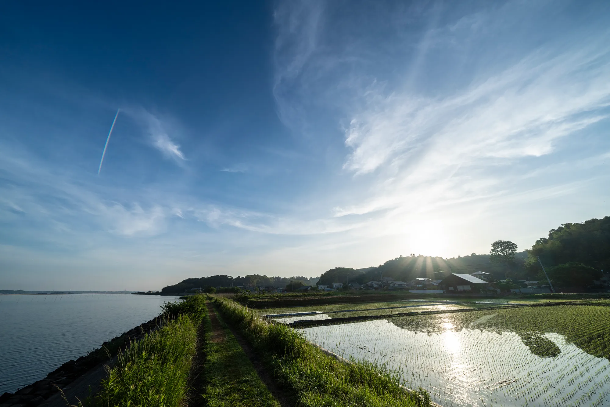 涸沼の景色